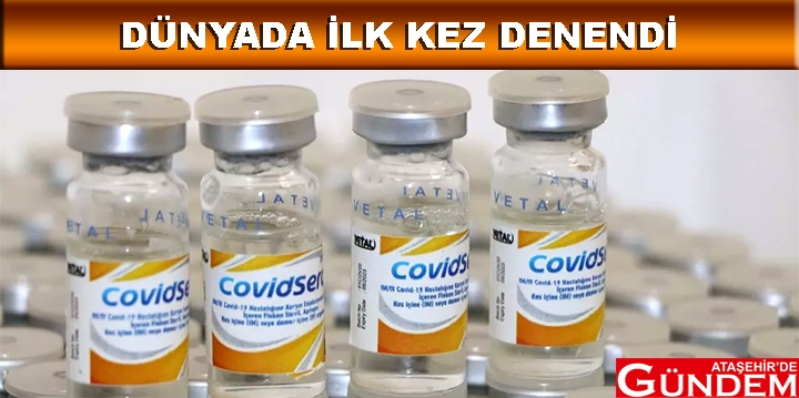 ATLAR KORONAVİRÜSE KARŞI ANTİKOR ÜRETİYOR ATLAR KORONAVİRÜSE KARŞI ANTİKOR ÜRETİYOR